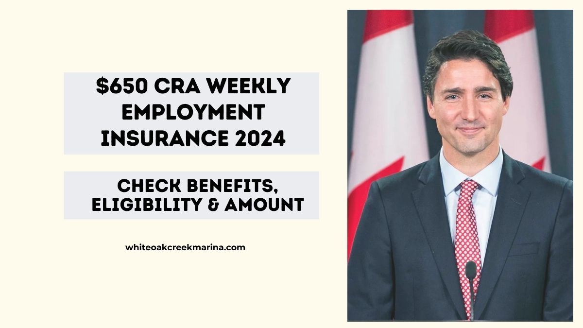 $650 CRA Weekly Employment Insurance 2024